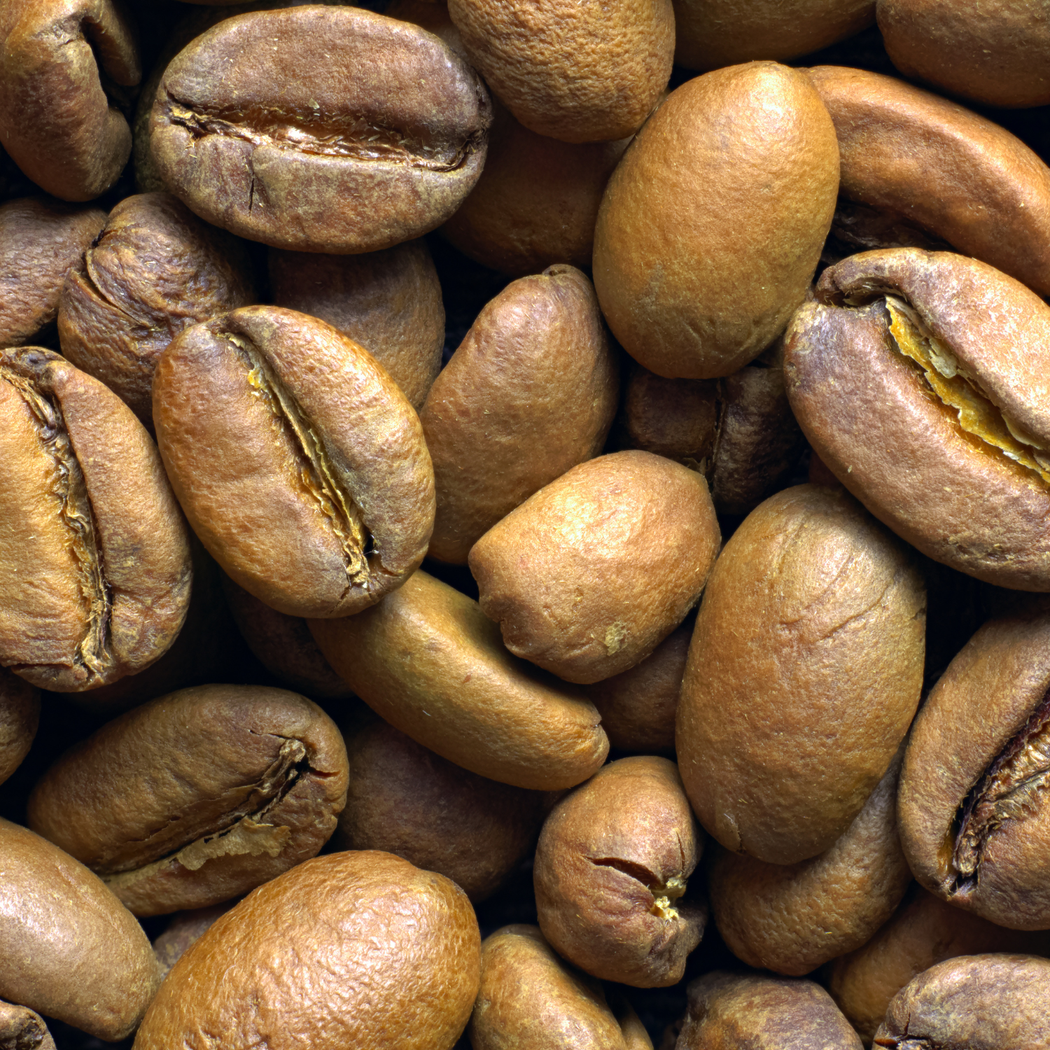 Light roast coffee beans 