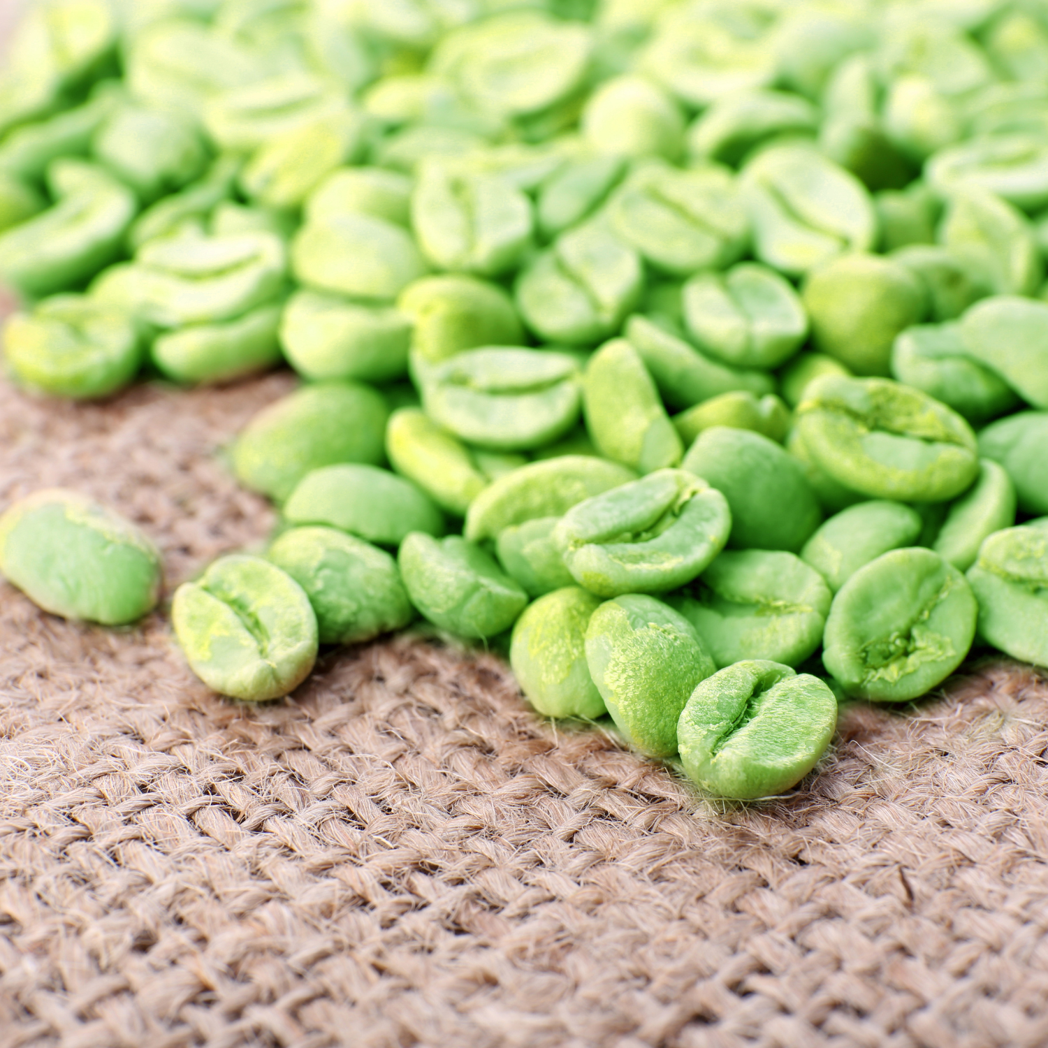 Green and raw coffee beans 