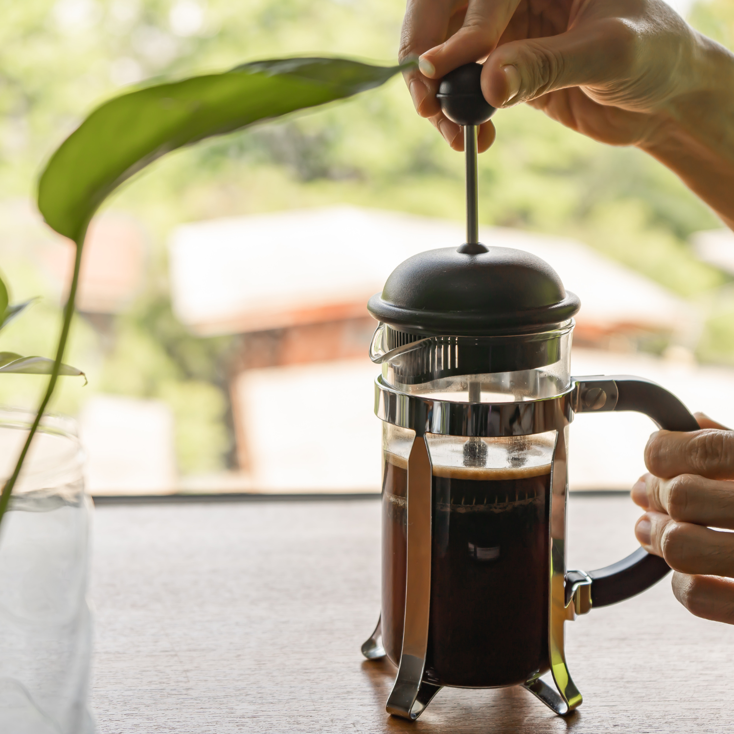 French Press Caffeinated Coffee