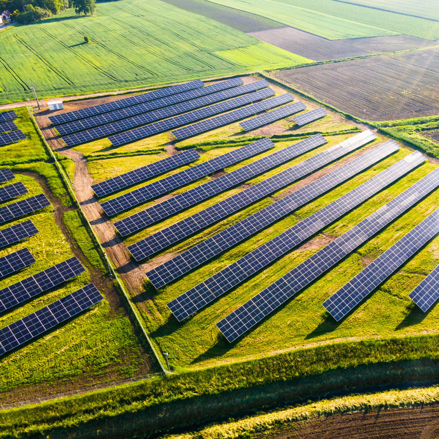 Solar Power Farm Powering All Electric Low-Carbon Coffee Roasting