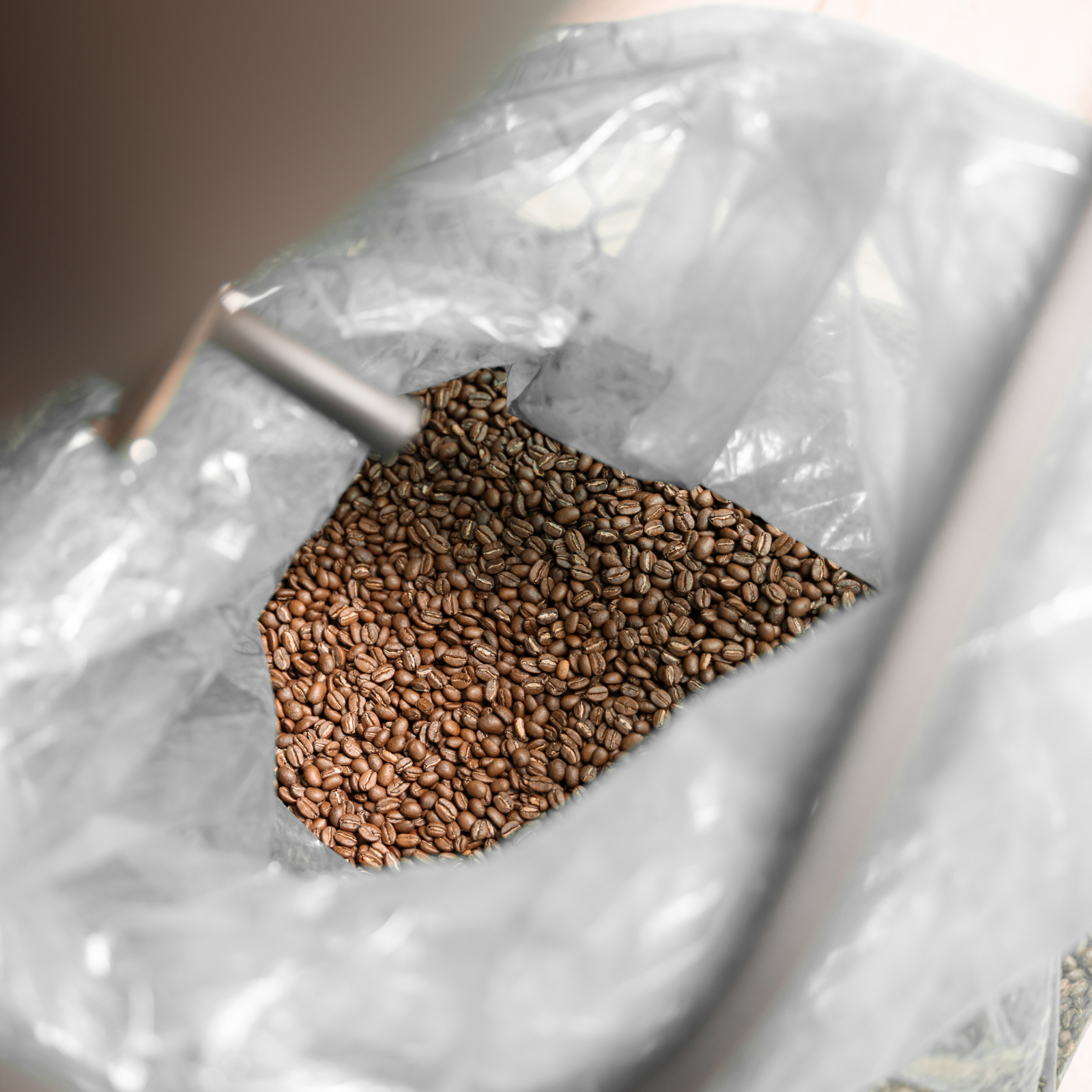 Freshly roasted coffee beans, ready for use by a wholesaler to craft bold espresso coffee.