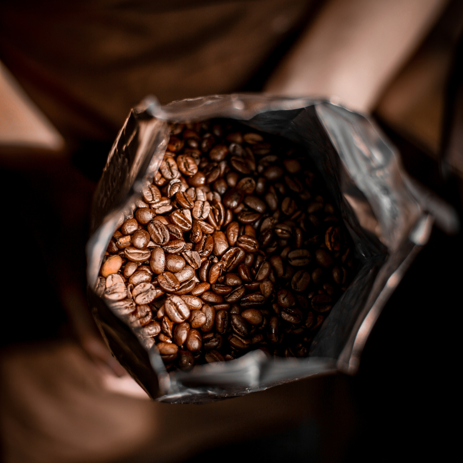 Top view of an open coffee bag filled with freshly roasted beans, ready for a wholesaler to create bold espresso coffee.